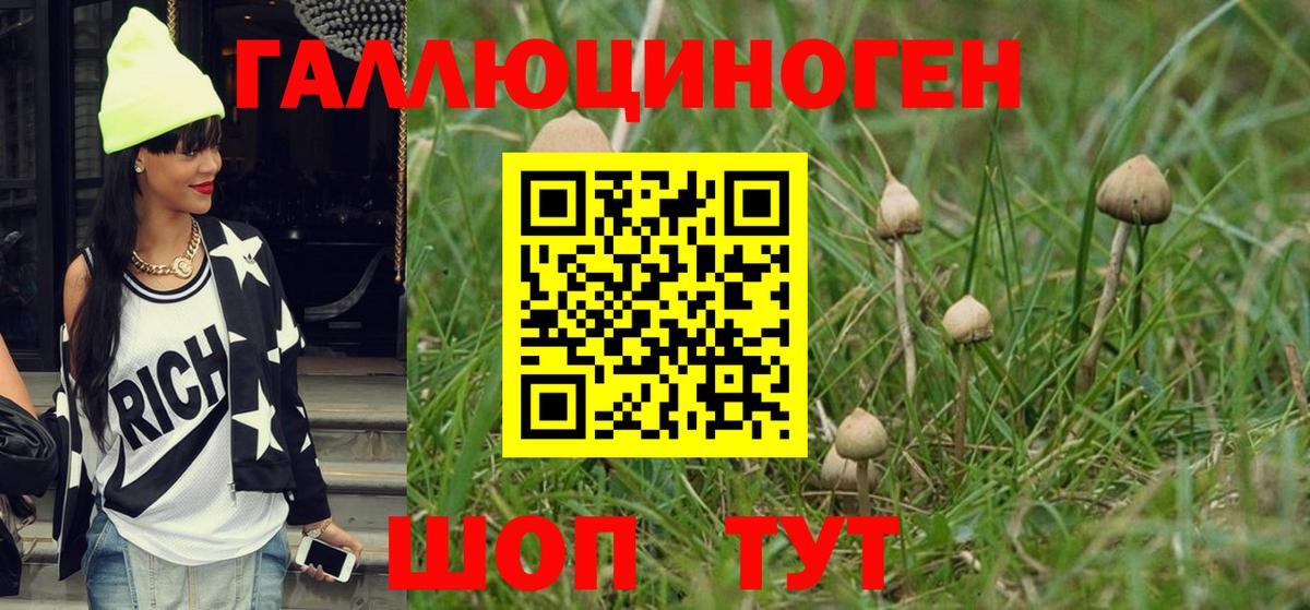 Галлюциногенные грибы прущие грибы  Галлюциногенные грибы Cubensis  Йошкар-Ола  Вход с VPN 