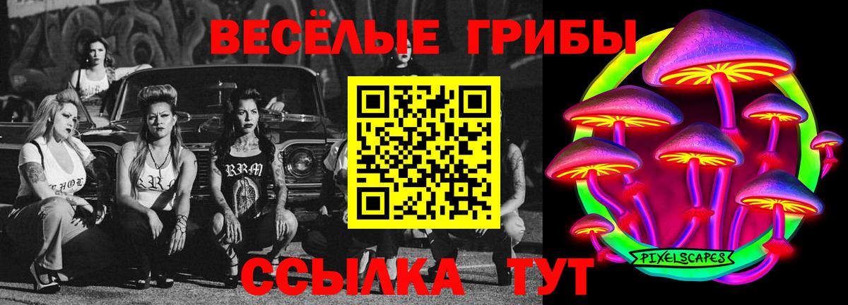 Псилоцибиновые грибы мицелий Йошкар-Ола